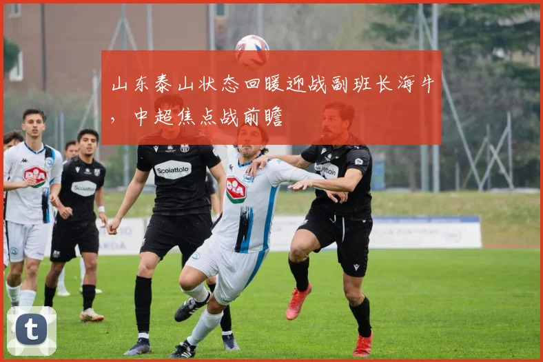 山东泰山状态回暖迎战副班长海牛，中超焦点战前瞻